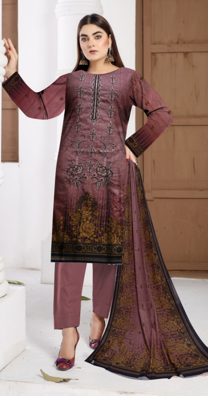 3 PC Dhanak Unstitched Embroidered DN-68-B